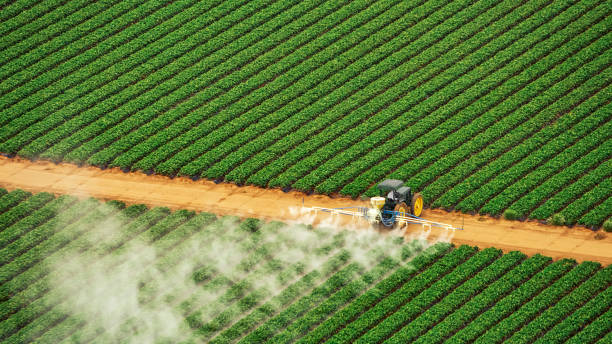 Professional Pest Control in Comanche, TX